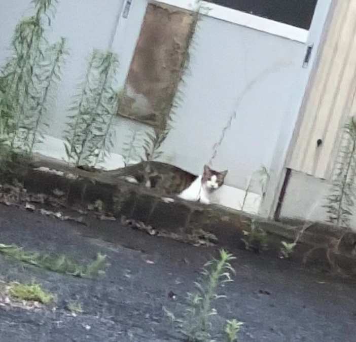 ショックが重なりました