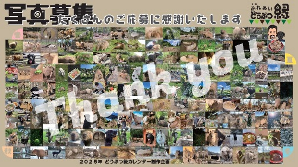 2025年カレンダー企画！沢山のご応募ありがとうございました！