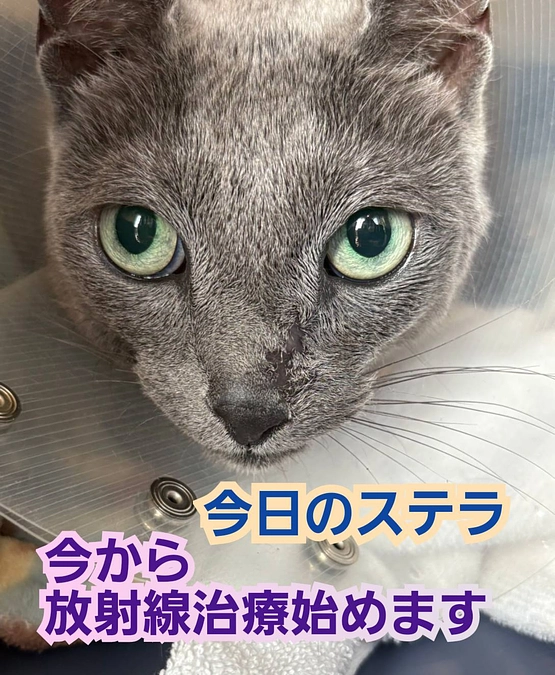 放射線い治療が無事に終わりました。