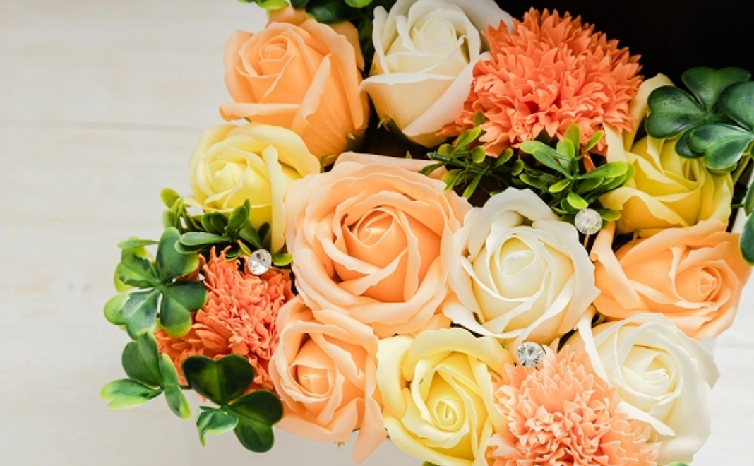 5,000円ご支援コース