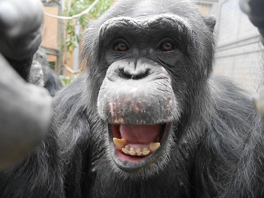 進行中のプロジェクト報告：第一目標金額を達成しました！次に向けて