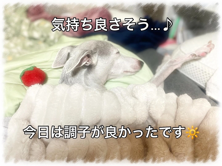 今日は調子良さそうでした😊