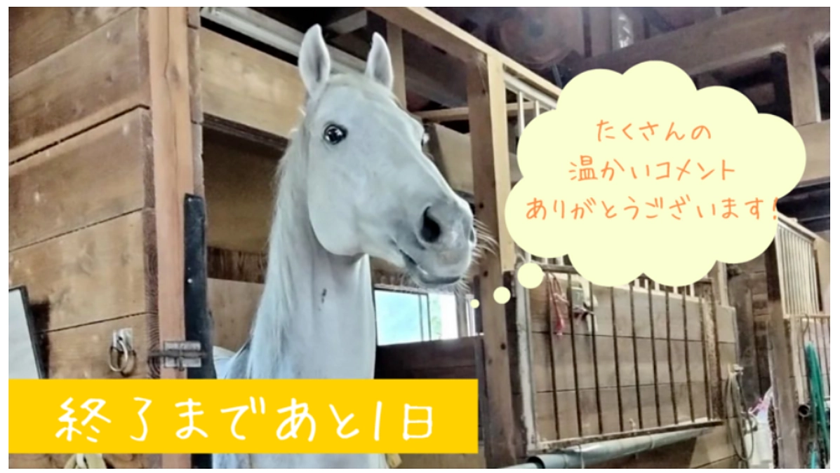 【終了まであと24時間！400万円突破！最終目標まであと97万円！】応援メッセージをご紹介します