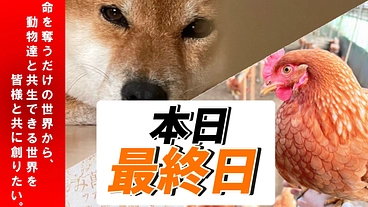 保護犬活動も応援できる”命をつなぐ”平飼い養鶏場の規模拡大 のトップ画像