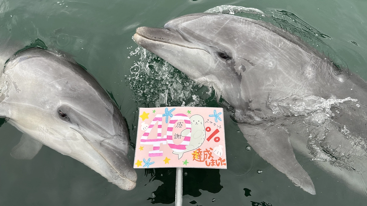 目標金額の40％を突破しました！