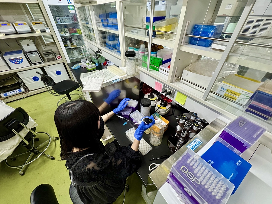 親アユ調査前に別解析を進めています。