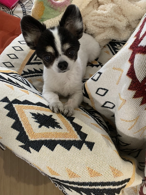 GWも折り返し！