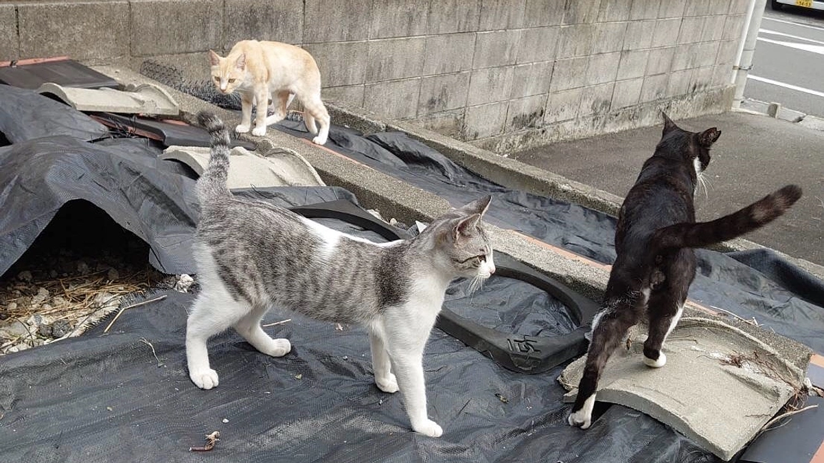 新玉女将からの切実な思い！！