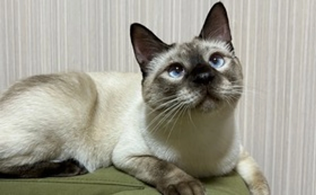 海くんへのご支援1000円(リターン不要)