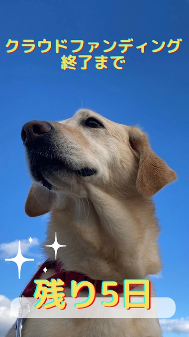 あと5日、スタッフへのエールをご紹介（応援コメントより）