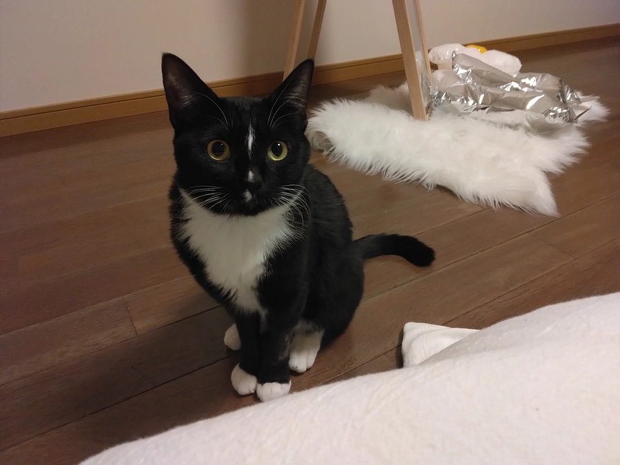 1/15はなちゃんの様子