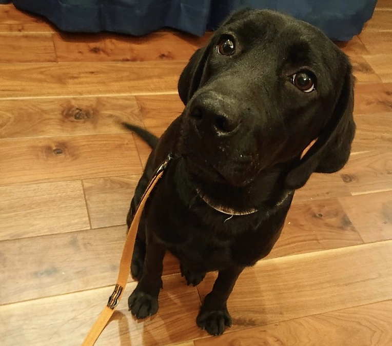 おっとりキュートな新入生が入りました！