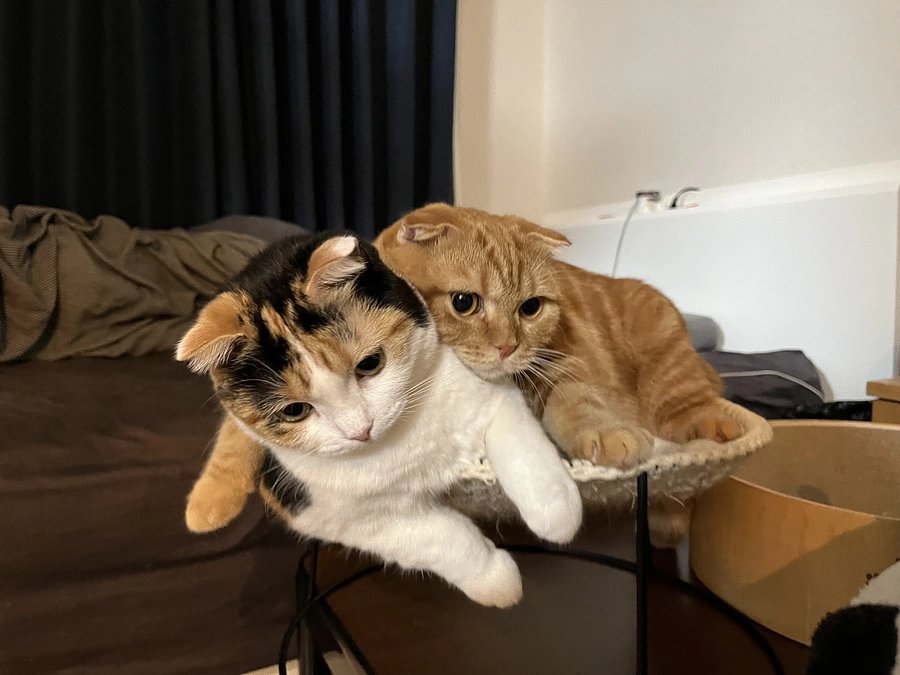 リターンについて