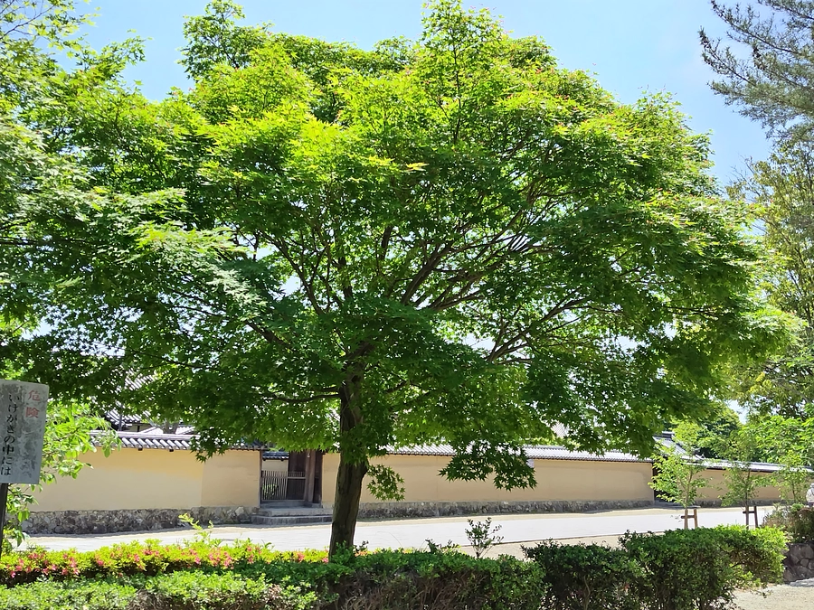 第１目標に到達いたしました