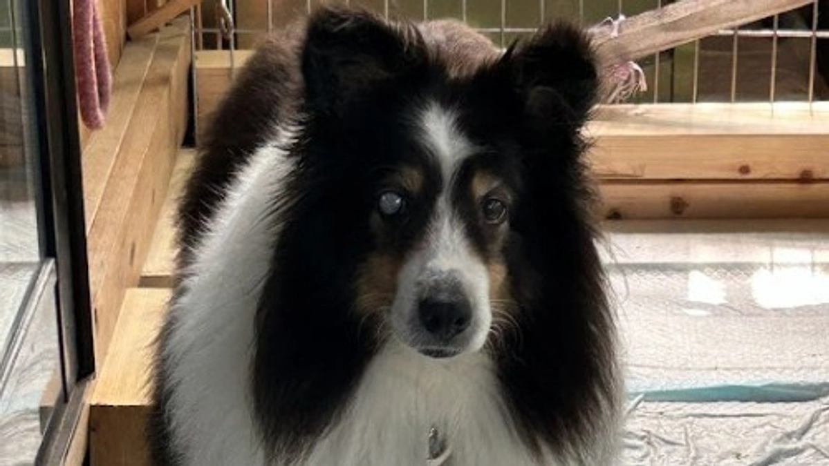 保護フル稼働！！