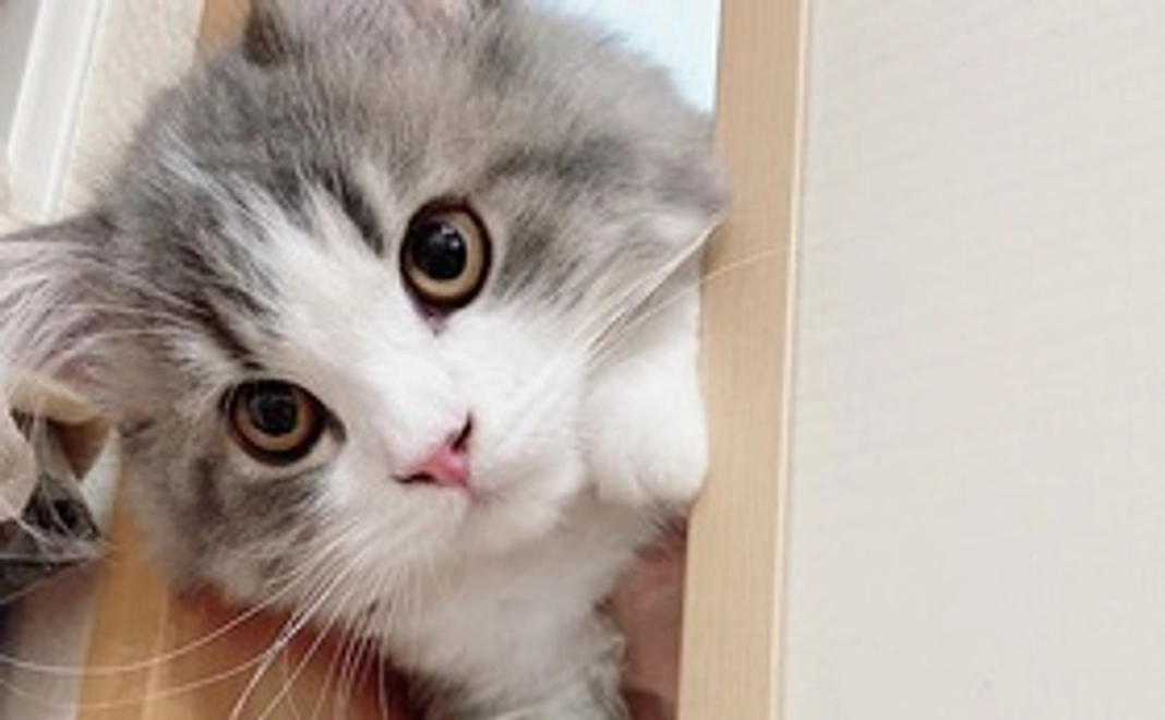 感謝のメールと画像をお送りいたします！