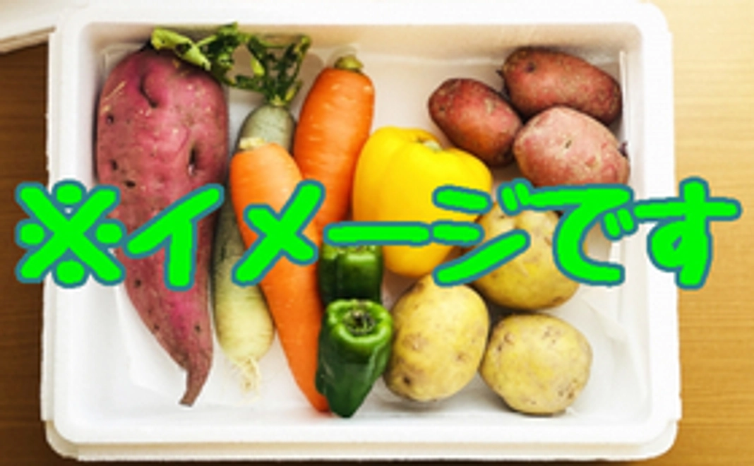 成果物の野菜コース　３０００