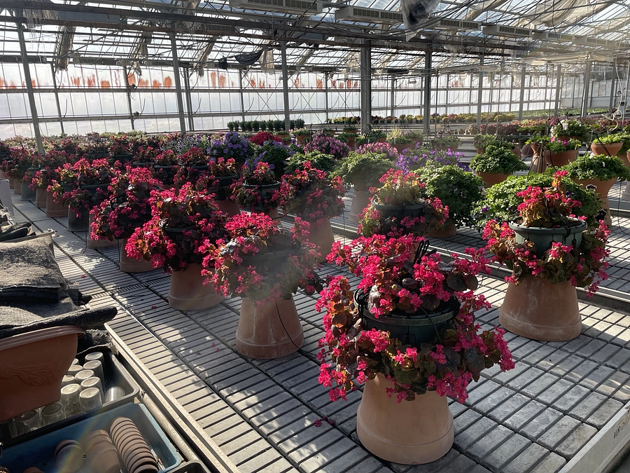 【加茂荘花鳥園のスタッフ紹介】栽培温室チーム　大石さん　大西さん