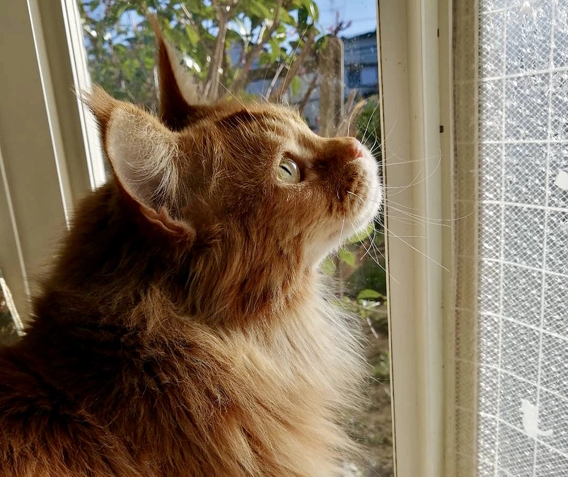 ご支援を頂きありがとうございます