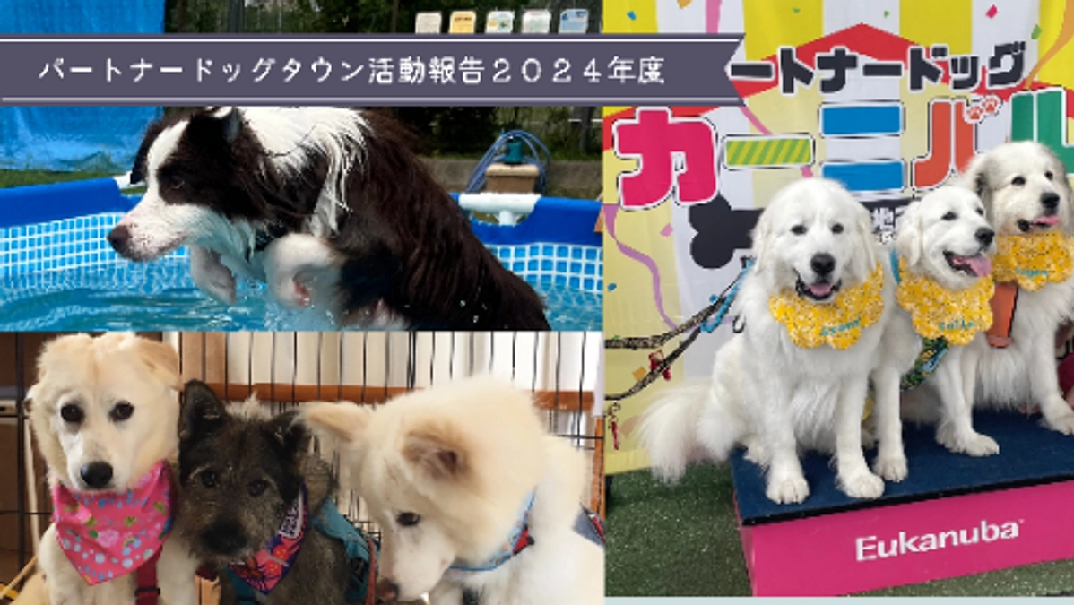 2024年度前期後期活動報告