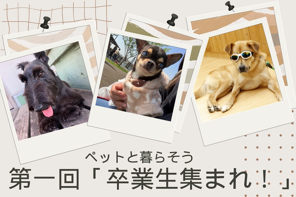 ペットと暮らそう卒業生を対象にオフ会を開催します！