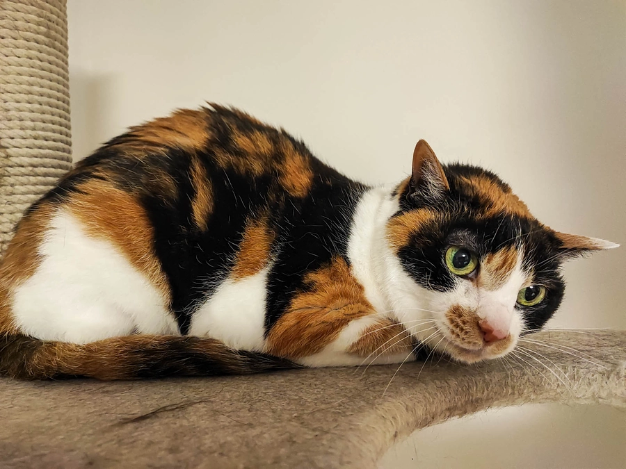 【Vol.14 6/10】支援金受け取りました