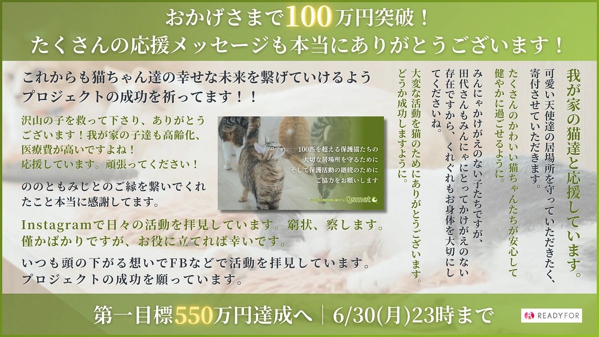 おかげさまで100万円まできました。毎日不安に押しつぶされそうです