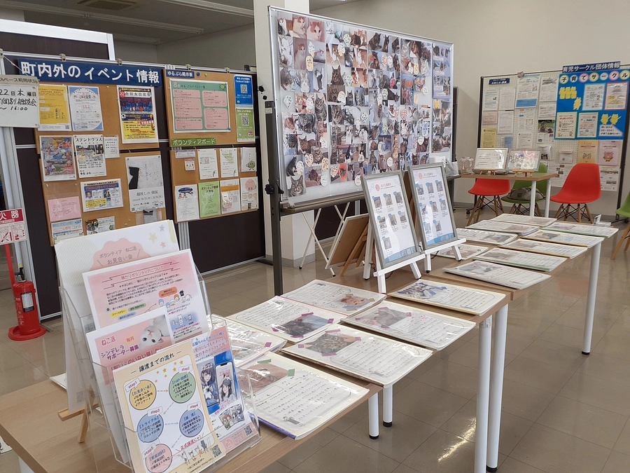 嬉しいご報告と2会場2種のお見合い会のご報告