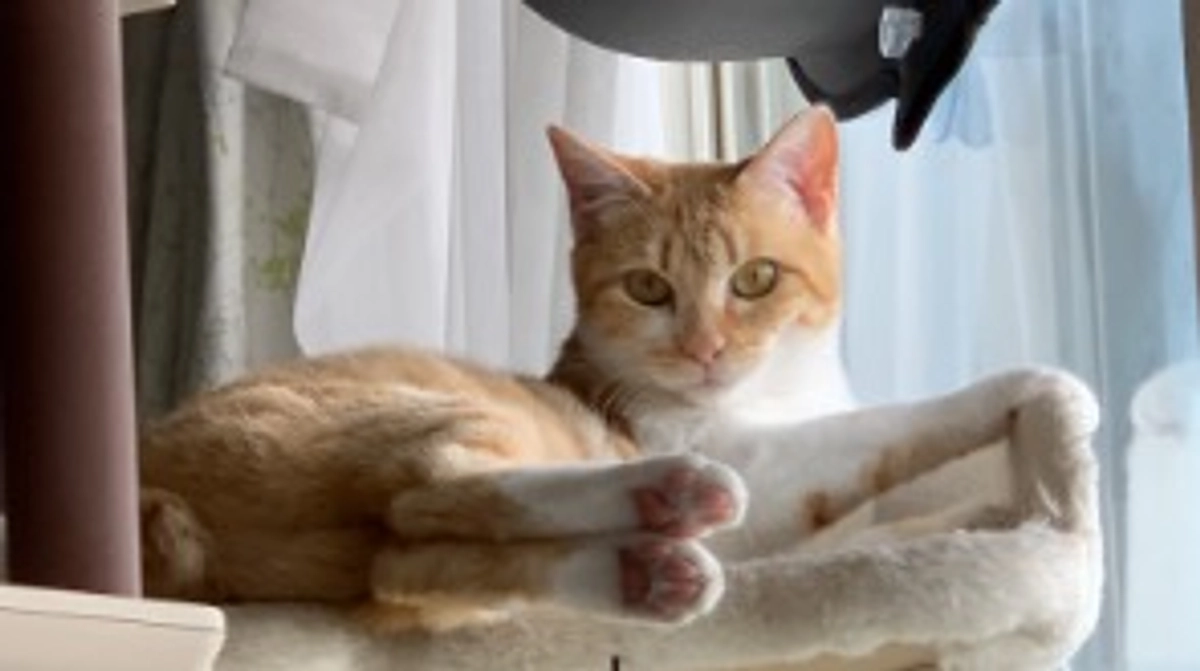 経過観察15日目（5/26）