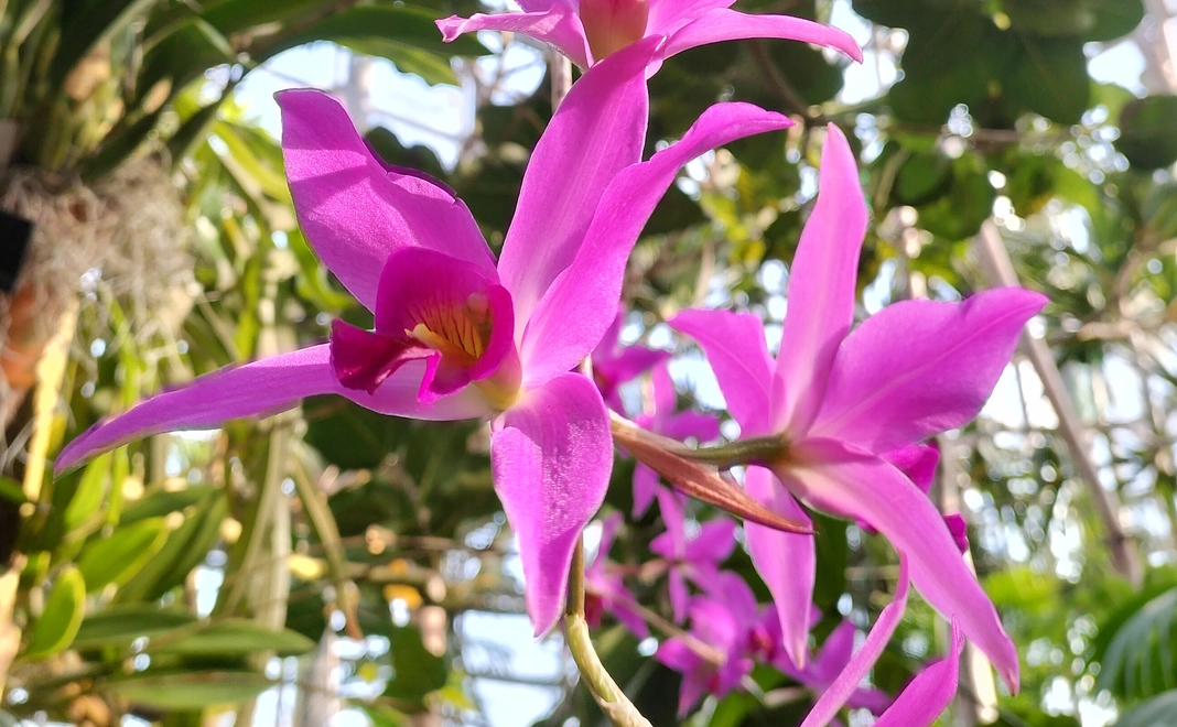 3000円ご寄付いただいた皆様にサンクスメールをお送りいたします