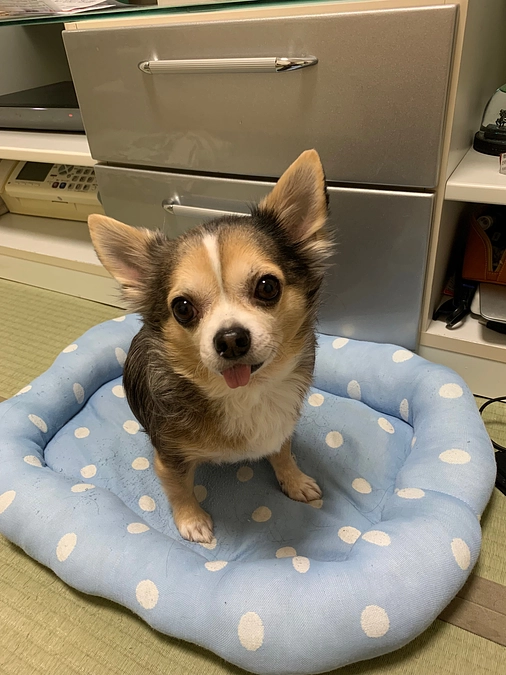 😭😭負けない心😭😭