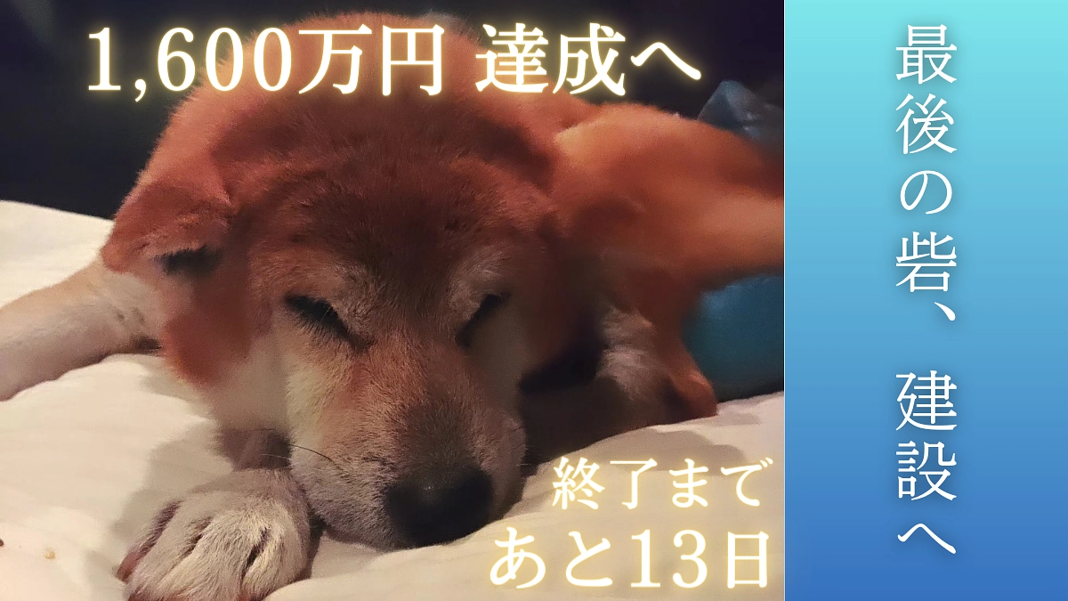 終了まであと13日！【感謝】受け入れ要請が絶えない今、マキさんに助けていただきました！