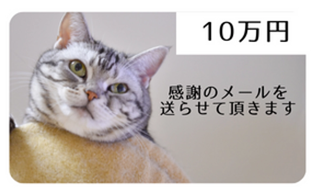 【感謝のメール】10万円