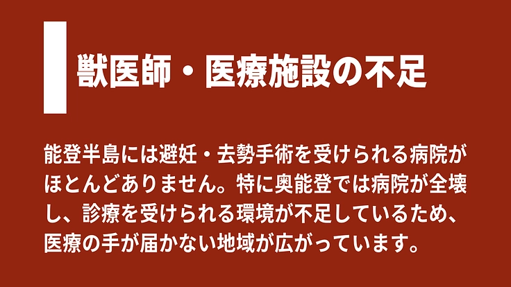 【緊急支援】能登半島地震の被災猫を救うため、移動手術車を作りたい！ 7枚目