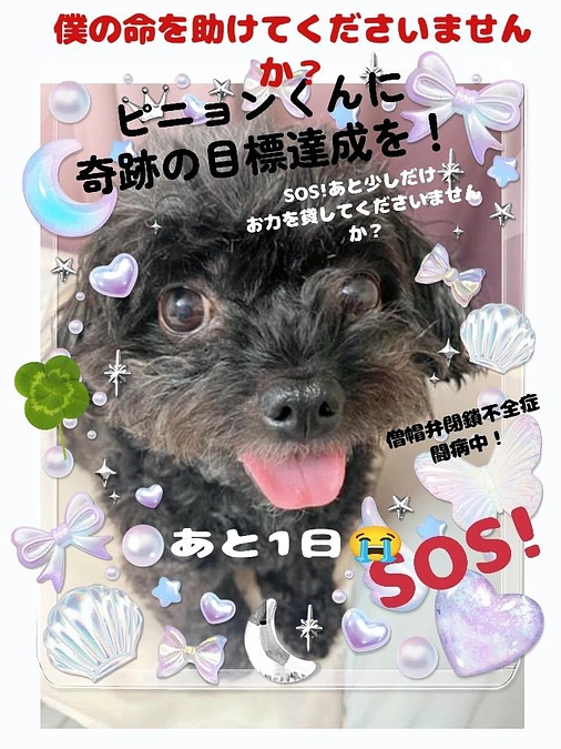 終了まで残り１日‼️‼️達成率94％‼️‼️😭