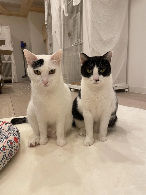 リターン遅れのお詫びと進捗のご報告