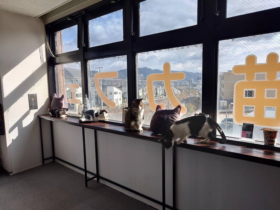 達成率50%超えました！