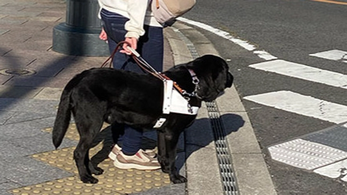 21頭目の盲導犬が巣立ちました！