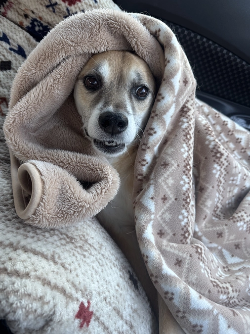 12/11 ☢️放射線治療8回目☢️