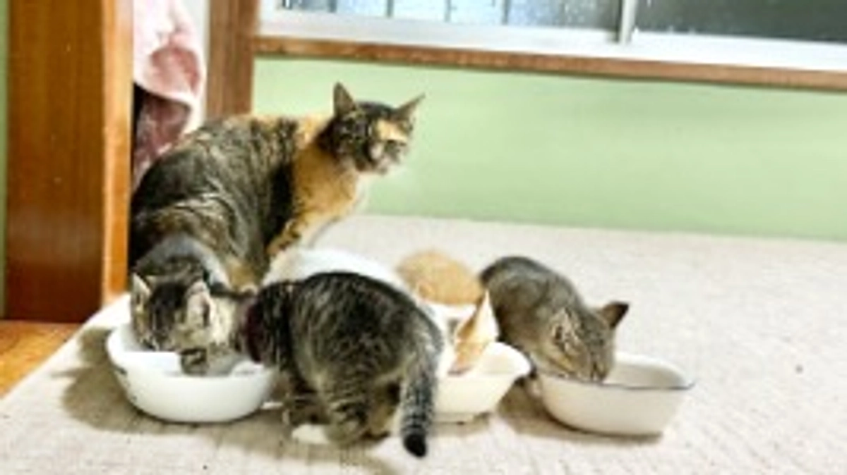 応援して下さる皆さまの温かいお気持ちに感謝します