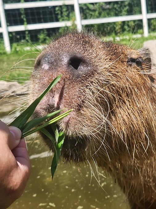 イベントのはじまり