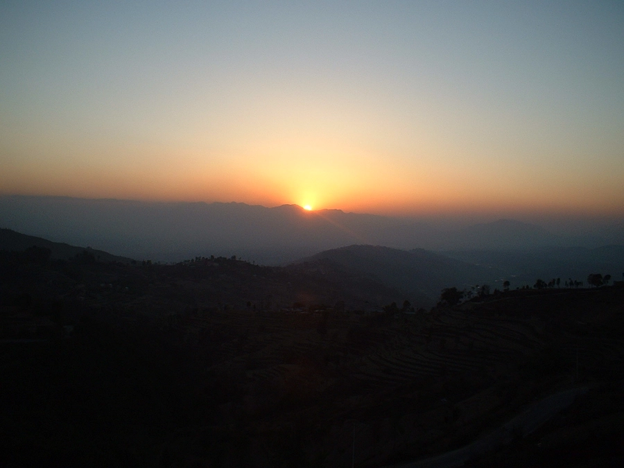 広葉樹が広がる森を当別町から北海道へ 　森を知ることが防災になる！？