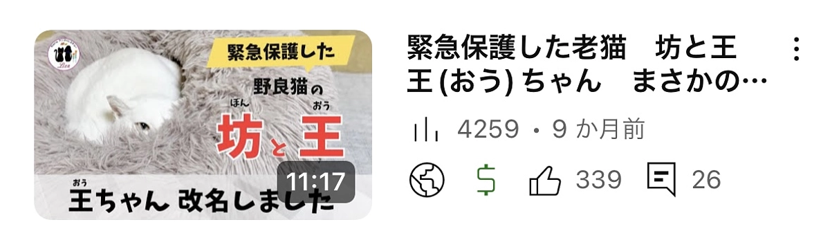 飼い主のいない野良だからこそ大切に扱ってほしい