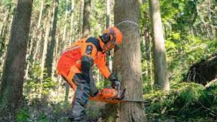 花粉症対策に取り組む林業事業者さんの人手不足を支援したい