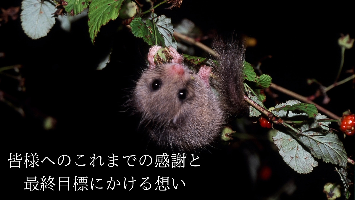 【終了まであと3日】皆様へ伝えたい、最終目標にかける思い