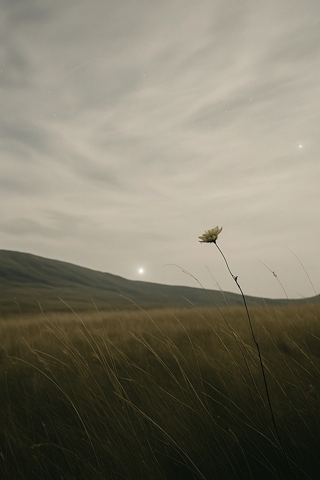 アリア62+63と詩《名を知らない風》2025詩的解釈