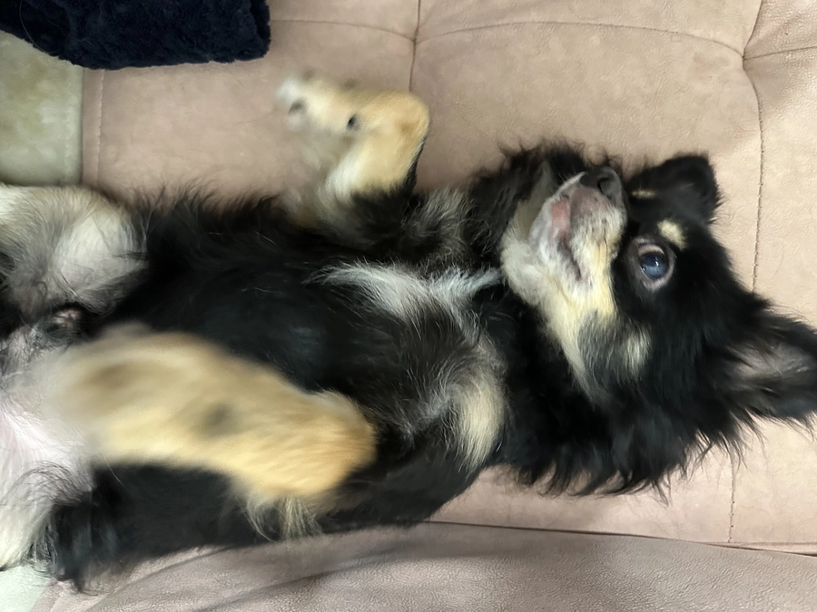 残り30分最後の瞬間までレンのため精一杯頑張ります！