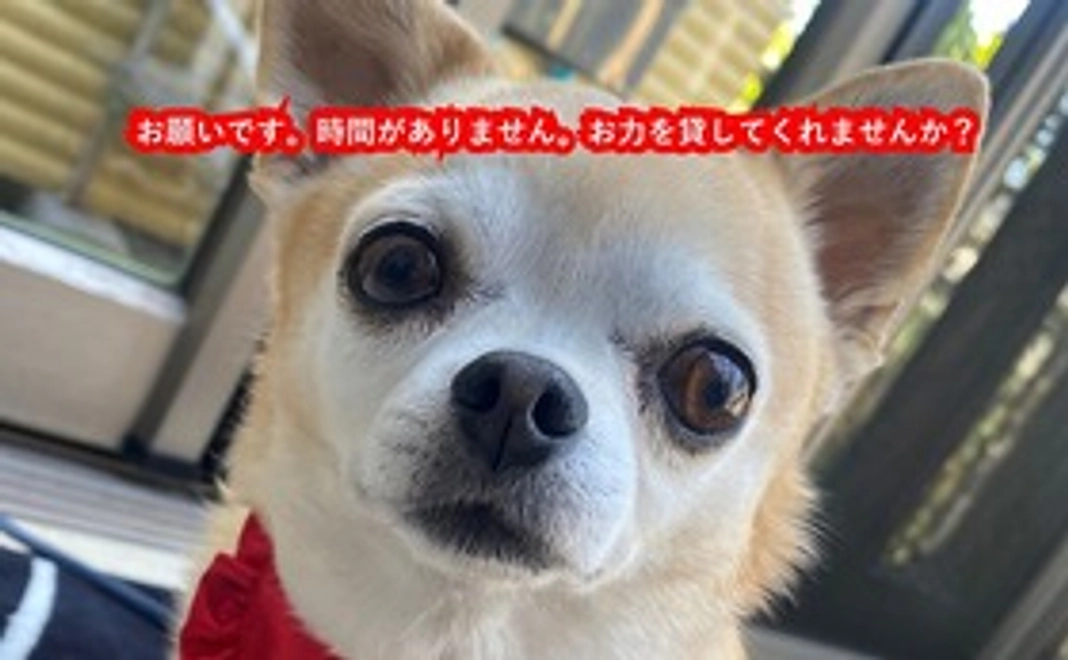 亜呂麻への支援①　(リターン不要な方）