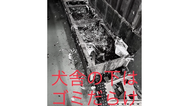 殺処分をなくし大切な命を救う為のシェルター建設にご協力ください! 2枚目