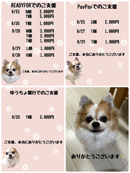 8月26日〜9月1日までのご支援